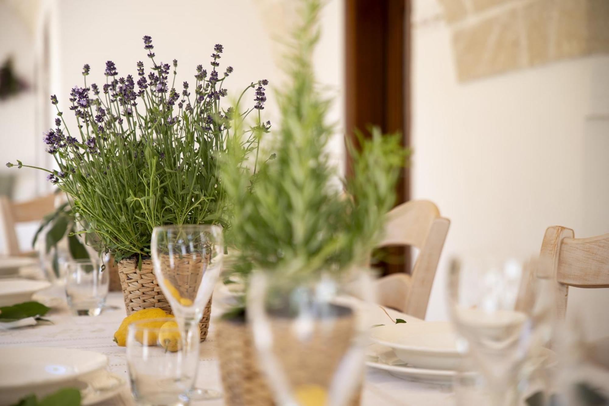 Masseria Palmo 프란카빌라 폰타나 외부 사진