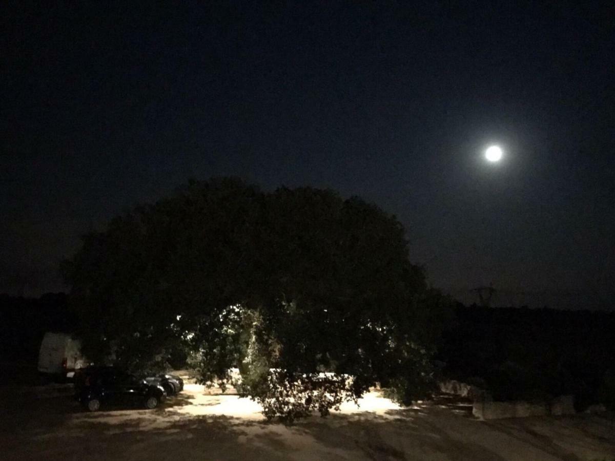 Masseria Palmo 프란카빌라 폰타나 외부 사진
